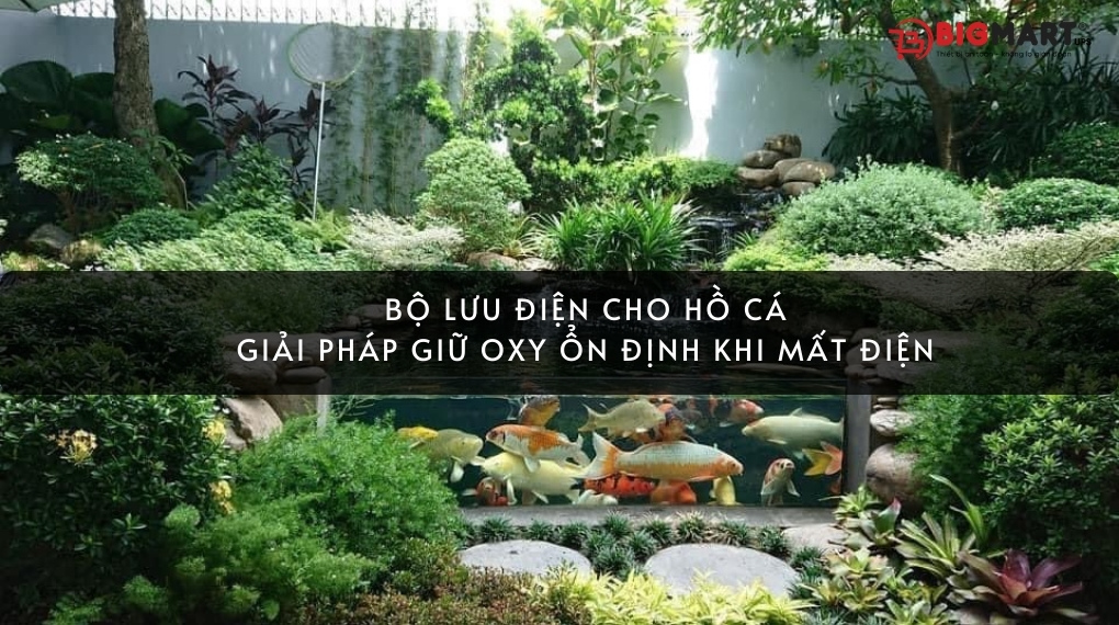 Bộ lưu điện cho hồ cá