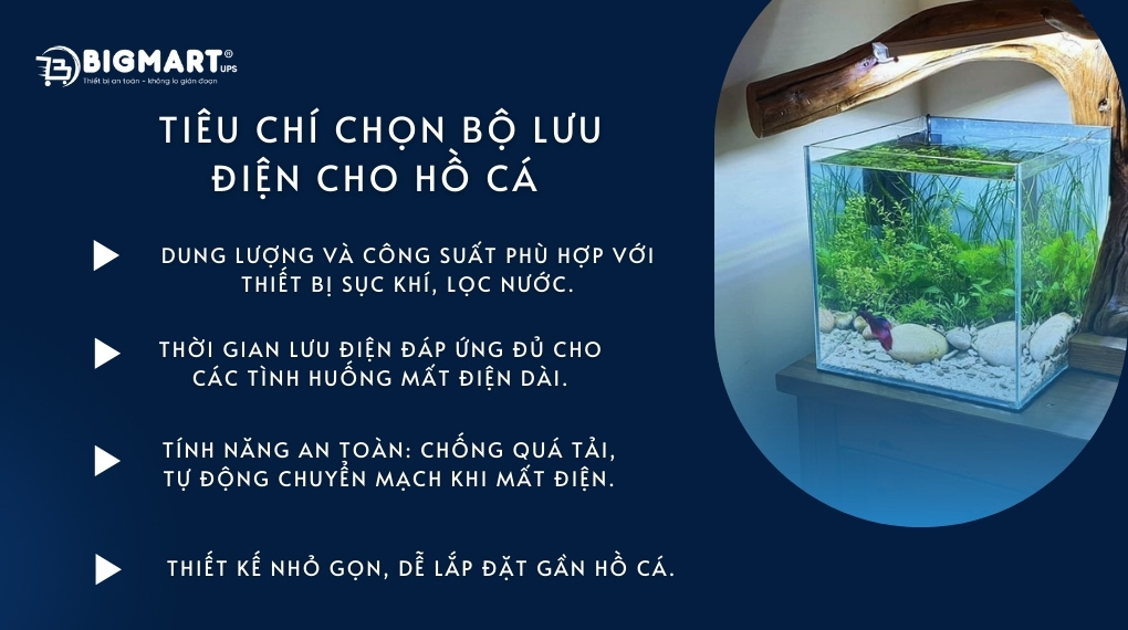 Tiêu chí chọn bộ lưu điện