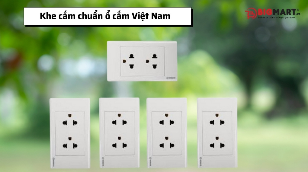 Khe cắm chuẩn ổ cắm Việt Nam