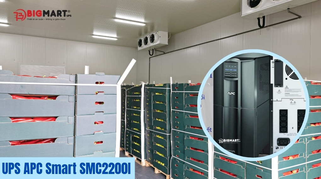 Bộ lưu điện cho tủ lạnh lớn