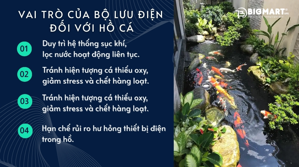 Vai trò của bộ lưu điện đối với hồ cá
